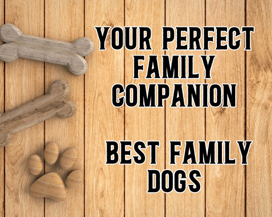 Your Perfect Family Companion: Best Family Dogs