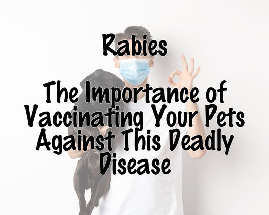 Rabies: The Importance of Vaccinating Your Pets Against This Deadly Disease