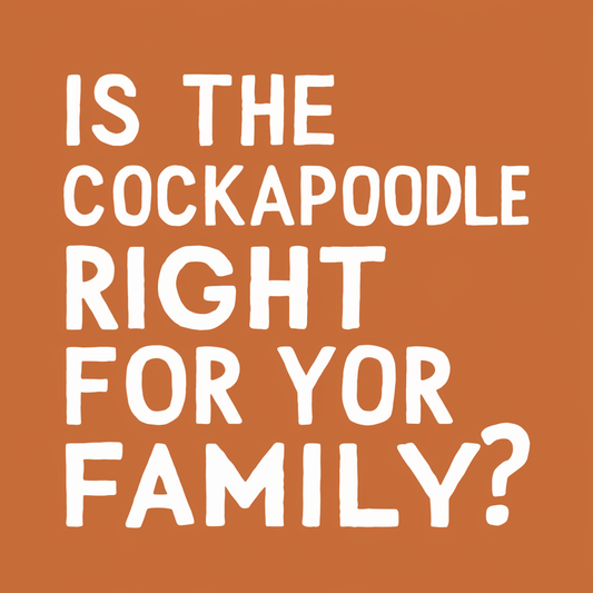 Is the Cockapoodle Right for Your Family? Find Out Here