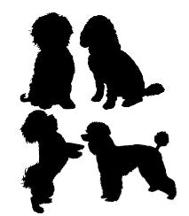 Cavapoo, Cockapoo, Maltipoo, & Miniature Poodle Silhouette Images