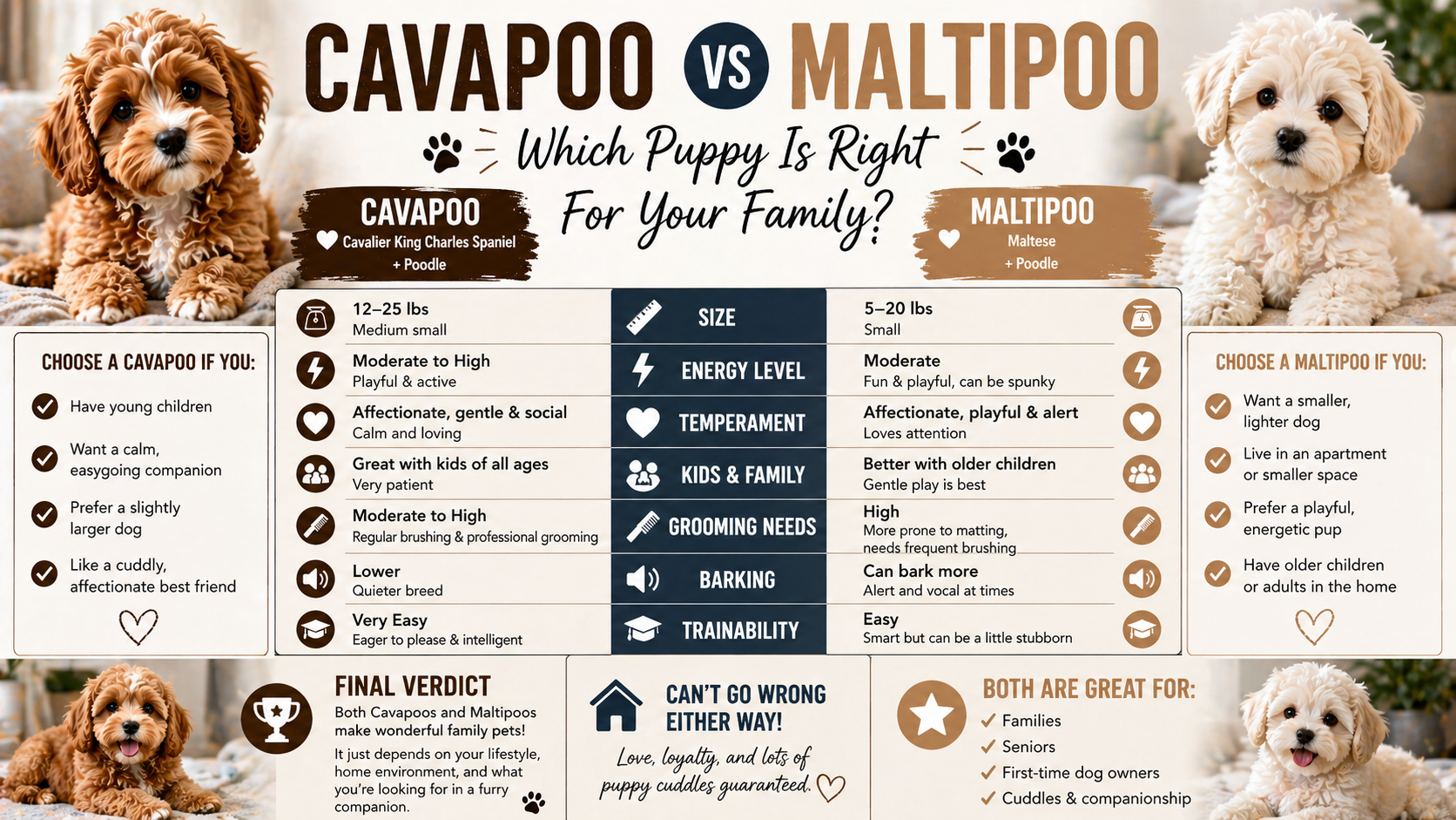 Cavapoo vs Maltipoo | Which Is Right For You? | Weaver Family Farms ...