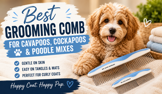 Best Grooming Comb for Cavapoos, Cockapoos & Poodle Mixes
