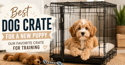 Best Dog Crate for a New Puppy Our Favorite Crate for Training