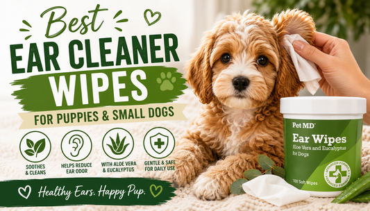 Best Dog Ear Cleaner Wipes for Puppies and Small Dogs