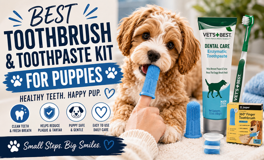 Best Dog Toothbrush and Toothpaste Kit for Puppies
