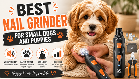 Best Nail Grinder for Small Dogs and Puppies