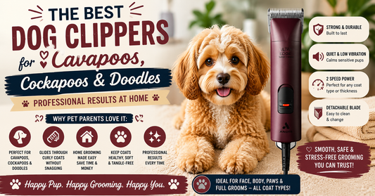 Best Dog Clippers for Cavapoos, Cockapoos & Doodles
