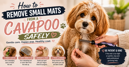 How to Remove Small Mats From a Cavapoo Safely