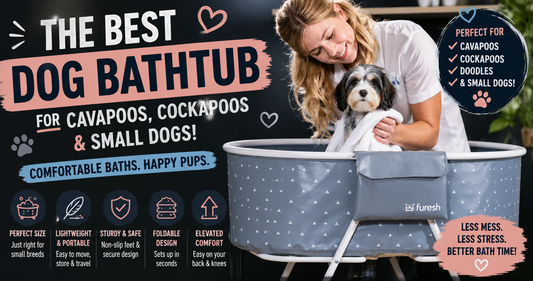 Best Dog Bathtub for Cavapoos, Cockapoos & Small Dogs