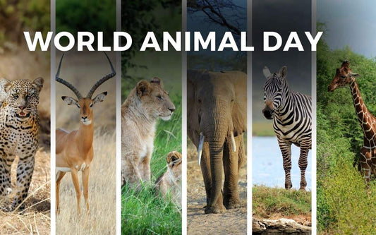 World Animal Day: Celebrating the Beauty and Diversity of the Animal Kingdom
