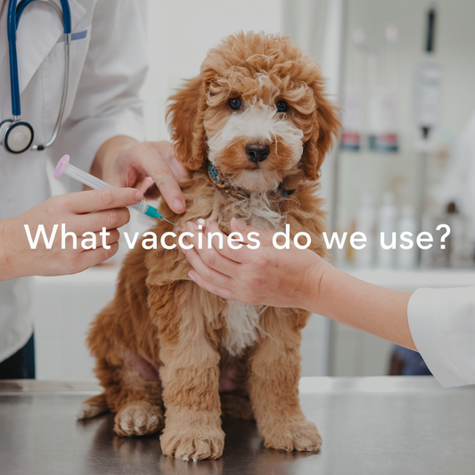 what vaccines do we use?