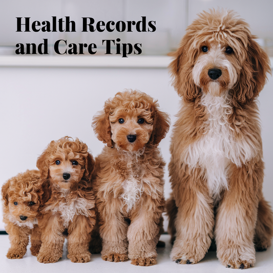 Our Health Records & Recommendations