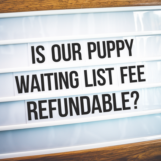 Is Our Puppy Waiting List Fee Refundable?