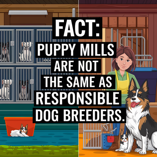 The Truth About Dog Breeders