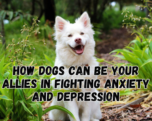How Dogs Can Be Your Allies in Fighting Anxiety and Depression