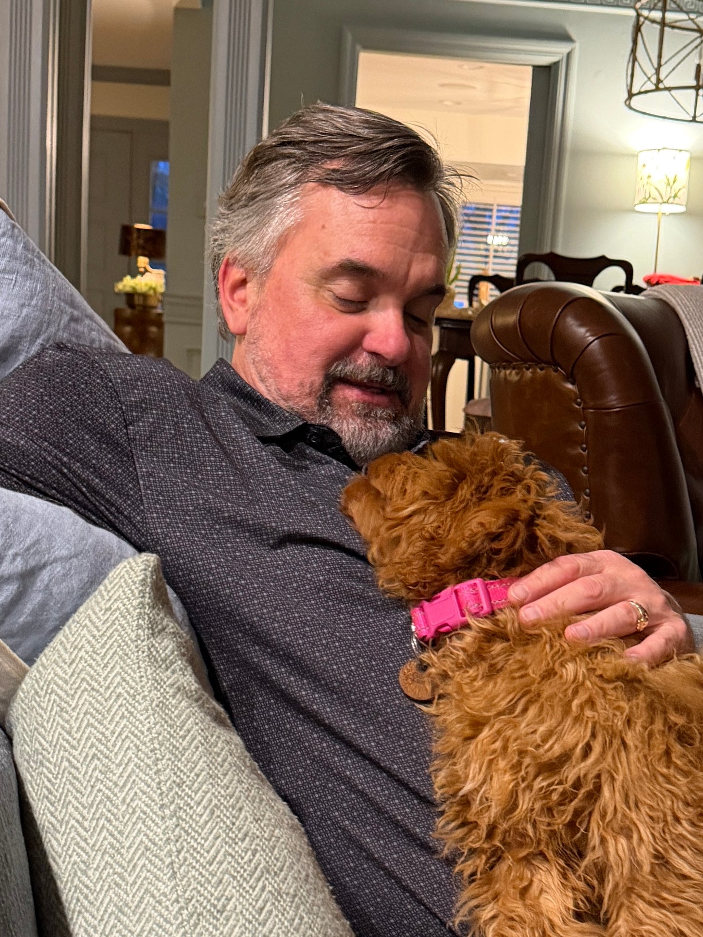 Gertie (Cavapoo)
