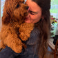 Gertie (Cavapoo)