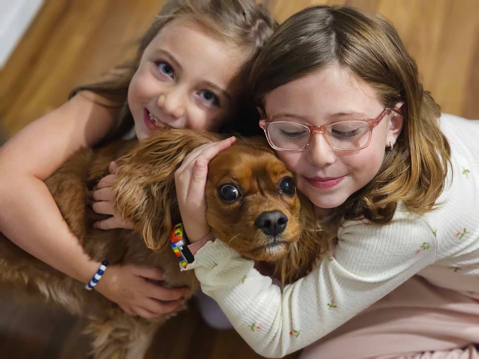 cavalier puppy getting love from 2 kids