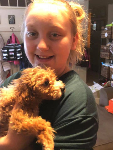 "Rawlings" The Maltipoo Went To His New Home In Nebraska!