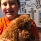 "Rawlings" The Maltipoo Went To His New Home In Nebraska!