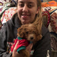 "Rawlings" The Maltipoo Went To His New Home In Nebraska!