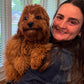 Gertie (Cavapoo)