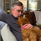 Gertie (Cavapoo)