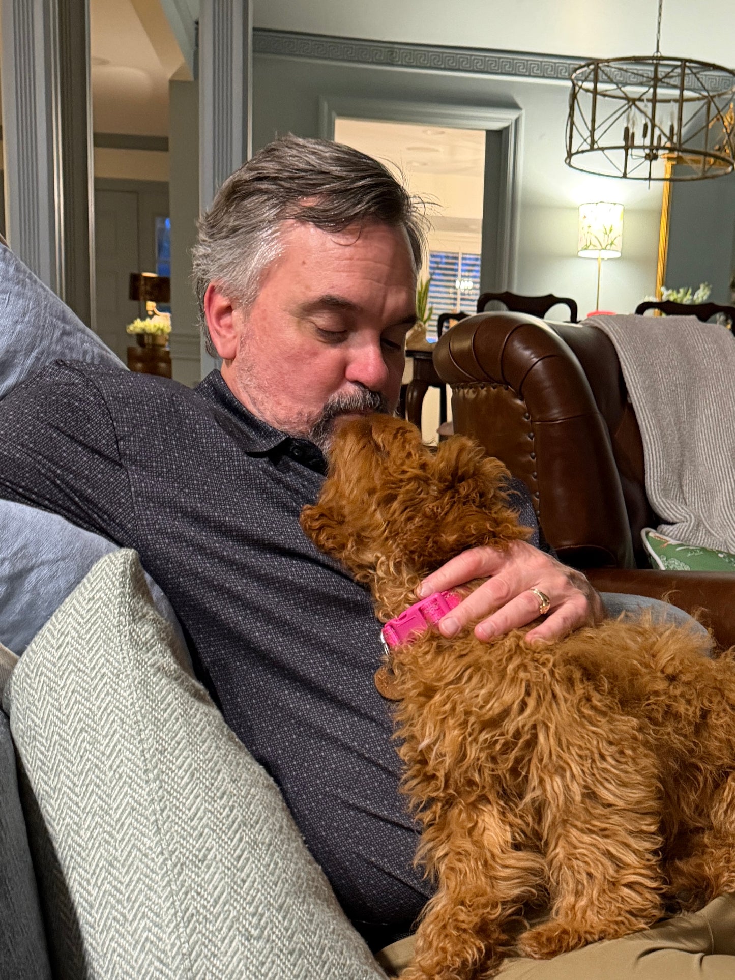 Gertie (Cavapoo)