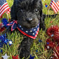 Cavapoo Girl 2 (Held For Brittany)