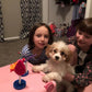 Bentley The Cavapoo Having A Tea Party