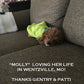 “Molly” With Her New Family In Wentzville