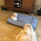 “Waffles” the cavapoo now in his home in Denver!